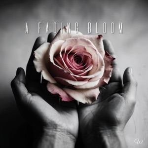 A Fading Bloom