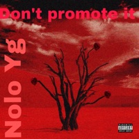Dont promote it - Single - Nolo YG