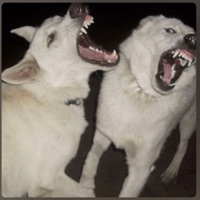 K9 - JSMOOTHINTHISBIT