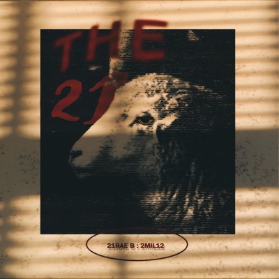 2MIL12 (feat. 21RAE B) - Single