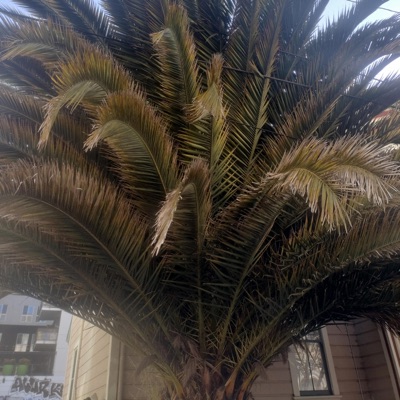 It's About To Go Down - Single