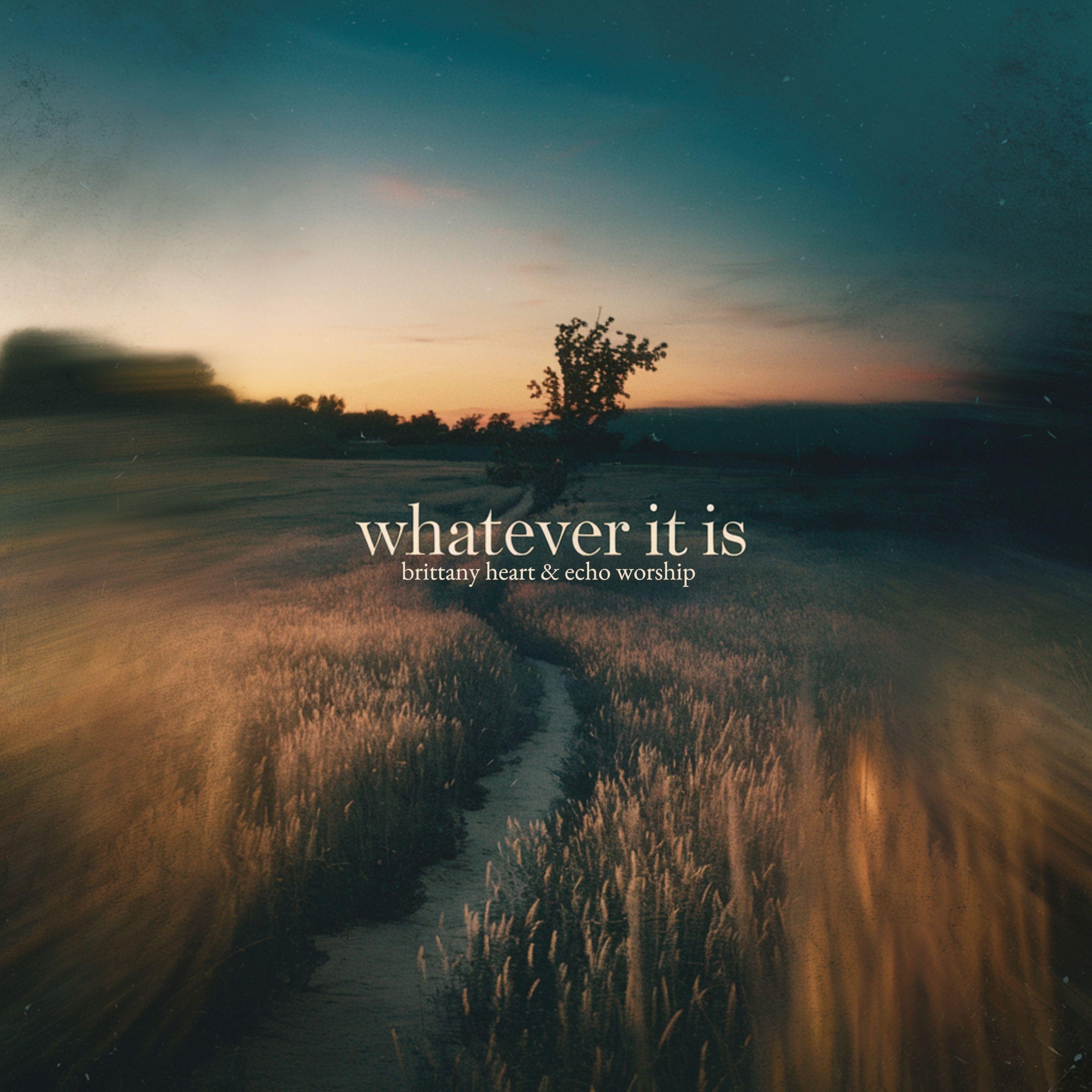 Whatever It Is - Single