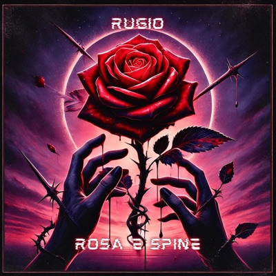 Rosa E Spine - Single