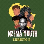 Nzema Youth - Single