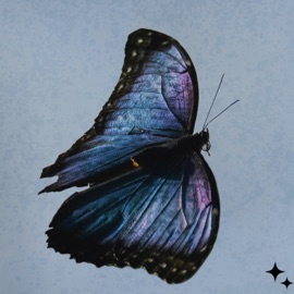 a song for the angels sendflowrs