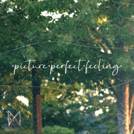 ·picture·perfect·feeling· [lý] & lillybug