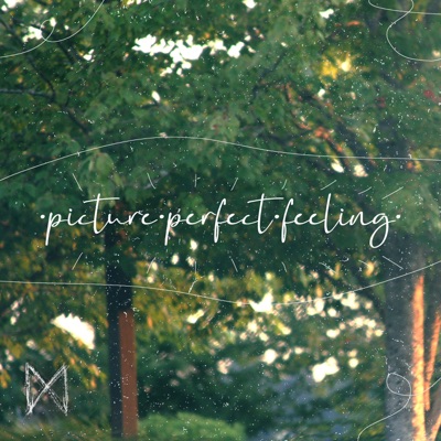 ·picture·perfect·feeling· - Single