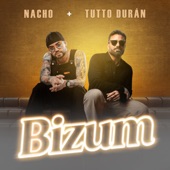 BIZUM artwork