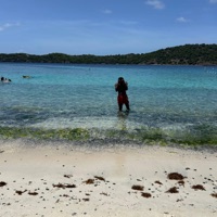 CRUSH - Single - hxchi