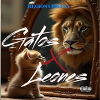 Gatos & Leones (feat. El Mejol MMG) - Single - DMKILLA