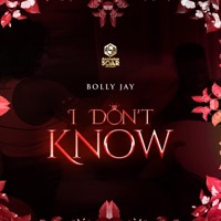 I Don't Know - Single - BollyJay