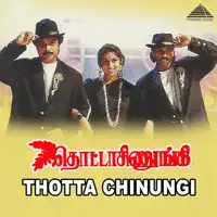 Maname Thotta Chinungi