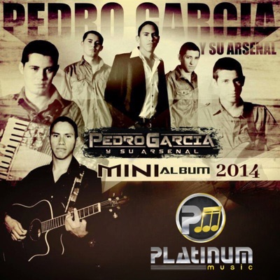 Mini Álbum 2014