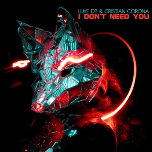 I Don't Need You (Extended Mix)