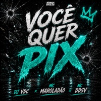 Você Quer Pix - Single - MC Ddsv & Mc Maroladão