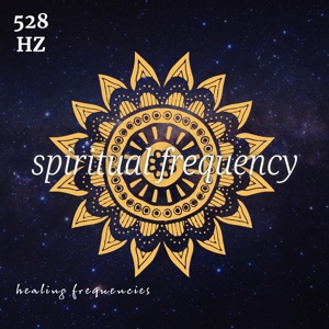 528 Hz Manifest Miracles