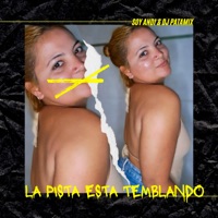 La Pista Esta Temblando (feat. DJ Patamix) - Single - Soy Andi