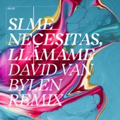 Si Me Necesitas, Llámame (David Van Bylen Remix) artwork