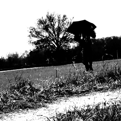 s t a y h a r d - Single