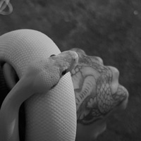 Make it count (feat. Babii Ahpe) - Single - Osamabennyladen