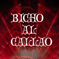 Bicho Al Callao (feat. Dj Robert & Dj Seiker) - Single - Dj Alex Del Callao