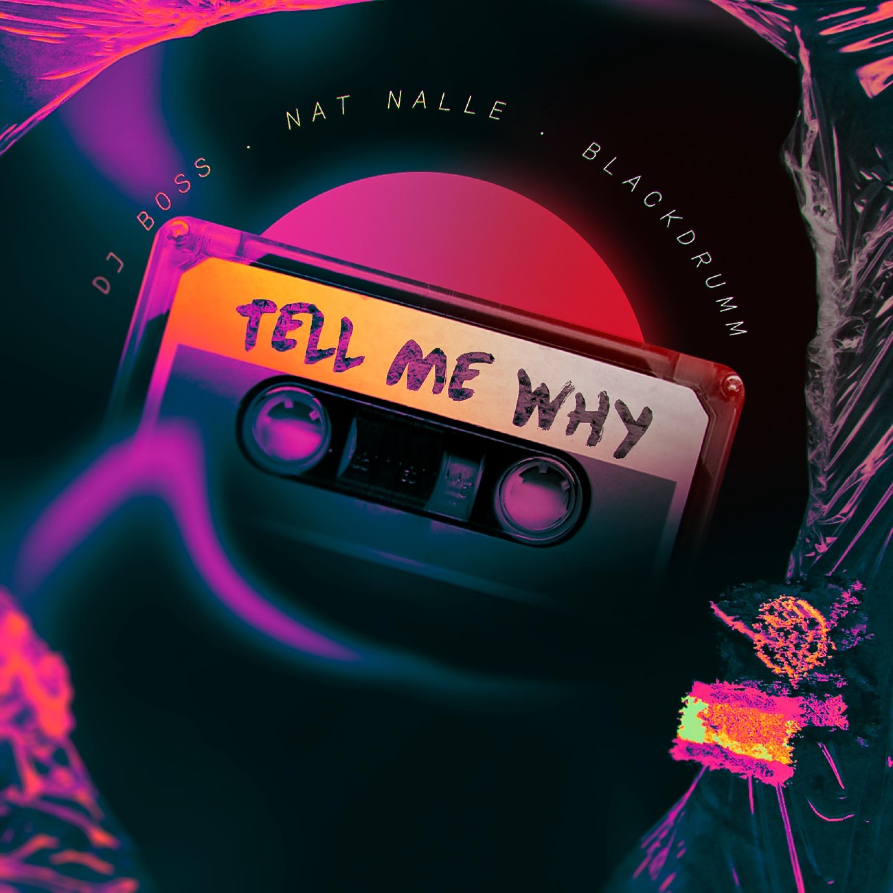 Mega Tell Me Why - Single