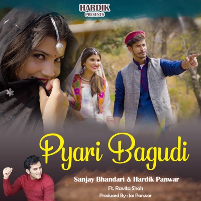 Pyari Bagudi (feat. Ravita Shah) - Single