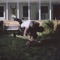 Walk to Class - Malcolm Todd lyrics