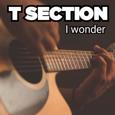 I wonder (feat. T Section) - Single
