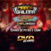 Sovado de Potro e China | DVD 10 Anos (Ao Vivo)