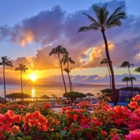 1day - Single - Tetro