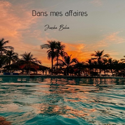 Dans mes affaires (feat. BELVA) - Single
