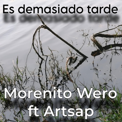Es demasiado tarde (feat. Artsap) - Single