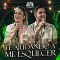 Te Ajudando A Me Esquecer
