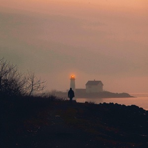 summer evening - Single