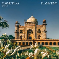 Cosmic India (Perc) (feat. Sensory Meditation, Jasper Whisper, Nina Nalo, Alma Lin & Randy Divine) - Single - Flame Timo
