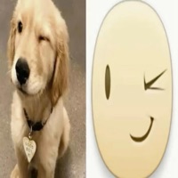 HyperBaby - Single - P.T.