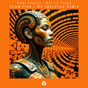 Por La Tarde (Sean Finn & DJ Soulstar Remix)