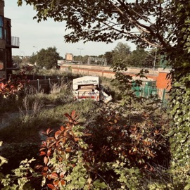 golden lining J2 & BexBlu