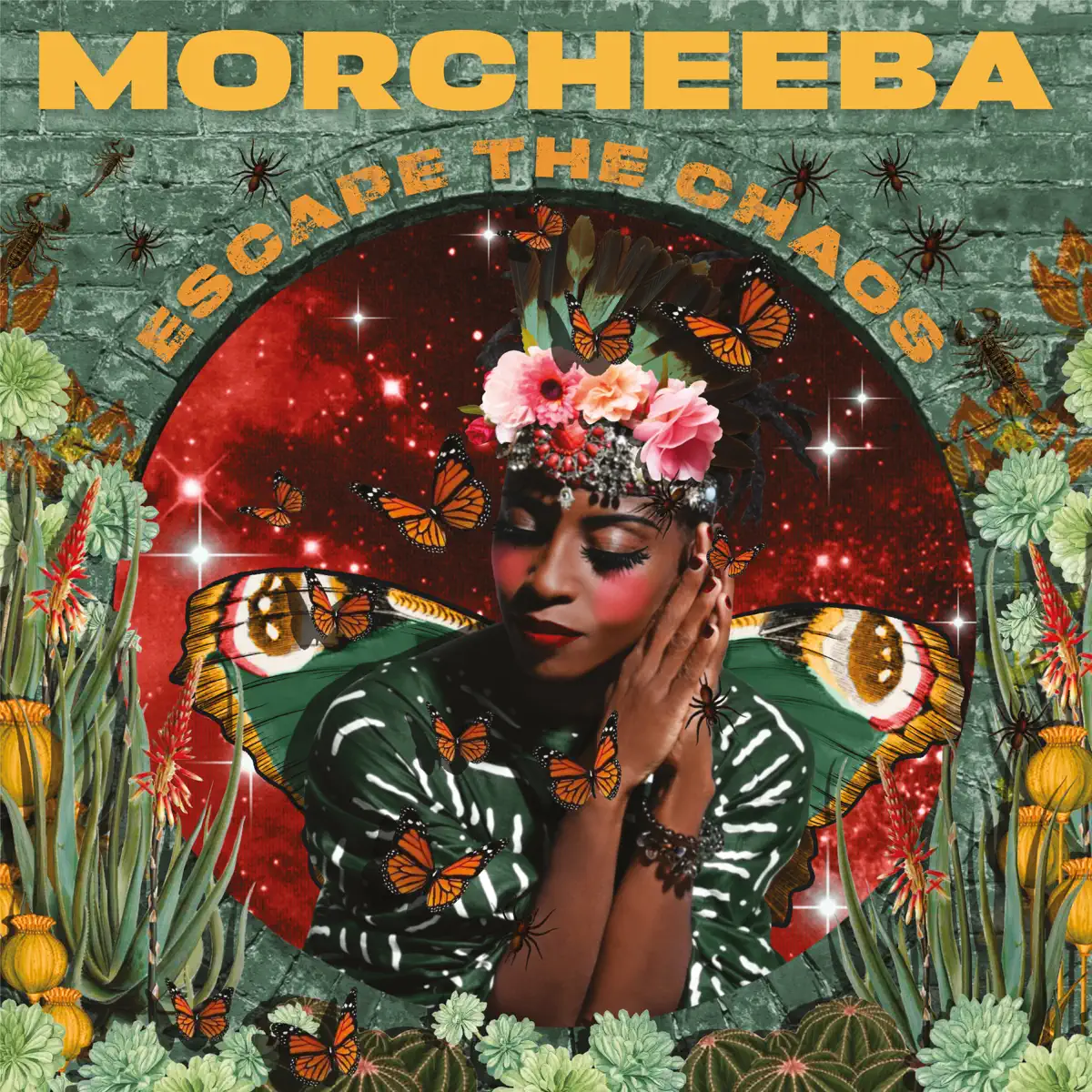 Morcheeba - Escape The Chaos (2025) [iTunes Plus AAC M4A]-新房子