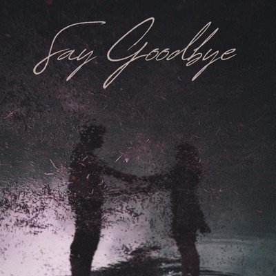 Say Goodbye - Single