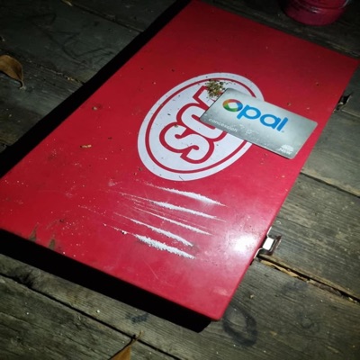 romped (feat. GoreSorrow) - Single