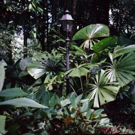 volatile birdnote & Kristoffer Eikrem