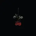 (YOU.)