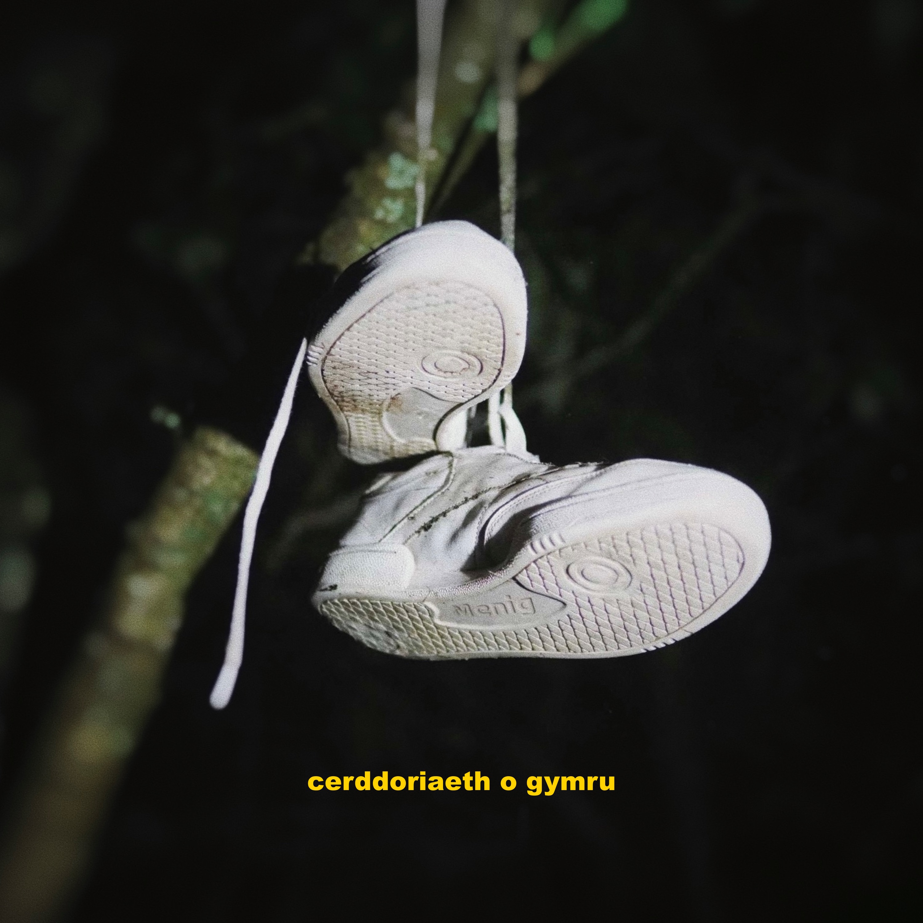 cerddoriaeth o gymru - EP