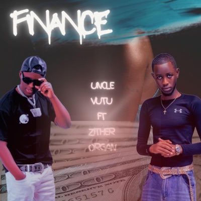 FINANCE (feat. Zither organ) - Single