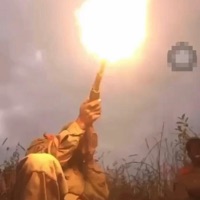 11DENOVEMBRO - Single - Daddy D