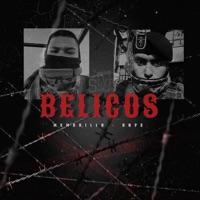 BELICOS V1 - Single - Slyp Ray