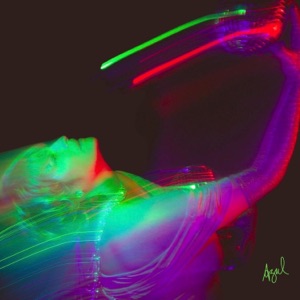 Disco Never Died - Single