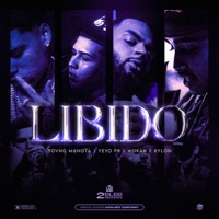 LIBIDO (feat. Wokah) - Single - yovngmanota, YEYO & Xylon